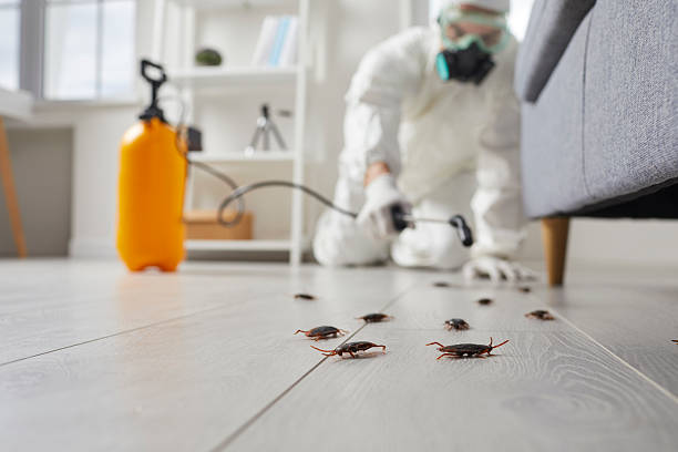 Trusted Cockroach Control service in Willow Grove, PA - Nex Pest Control
