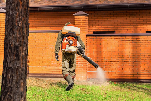 Trusted Rodent Control service in Willow Grove, PA - Nex Pest Control
